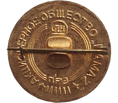  Значок «Набережные Челны. КАМАЗ» СССР (зеленый), фото 2 