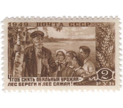  6 почтовых марок «Государственные лесные защитные полосы и лесонасаждения» СССР 1949, фото 3 