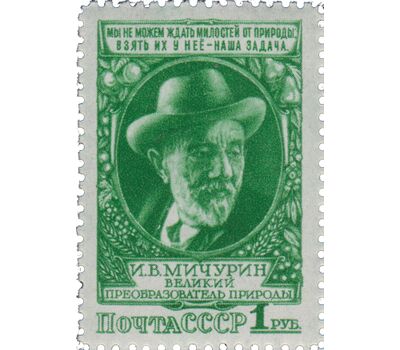  2 почтовые марки «Биолог-селекционер И.В. Мичурин» СССР 1949, фото 3 