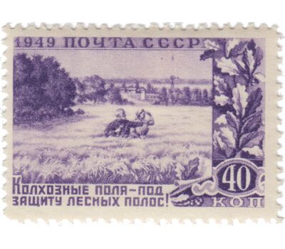  6 почтовых марок «Государственные лесные защитные полосы и лесонасаждения» СССР 1949, фото 4 