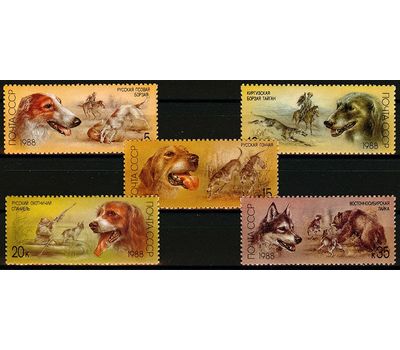  5 почтовых марок «Отечественные породы охотничьих собак» СССР 1988, фото 1 
