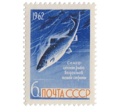  2 почтовые марки «Рыбы» СССР 1962, фото 2 