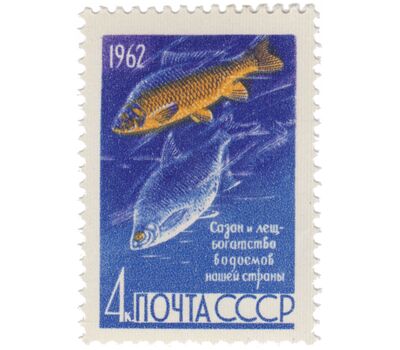  2 почтовые марки «Рыбы» СССР 1962, фото 3 