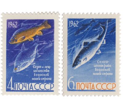  2 почтовые марки «Рыбы» СССР 1962, фото 1 