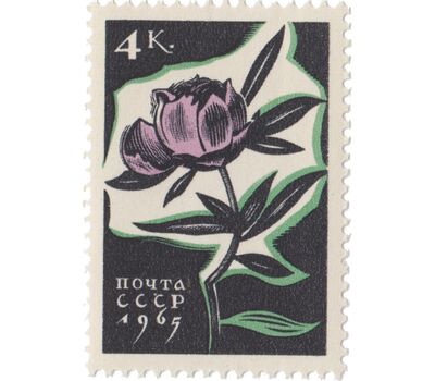 5 почтовых марок «Цветы» СССР 1965, фото 2 
