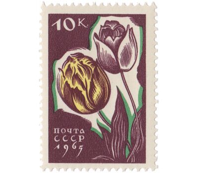  5 почтовых марок «Цветы» СССР 1965, фото 5 