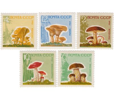  5 почтовых марок «Грибы» СССР 1964 (с лаком), фото 1 