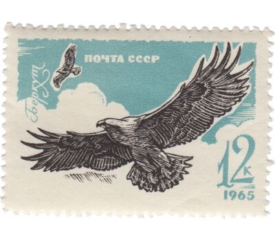  8 почтовых марок «Хищные птицы» СССР 1965, фото 4 