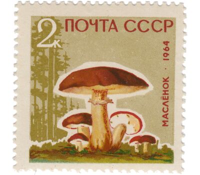  5 почтовых марок «Грибы» СССР 1964 (с лаком), фото 4 