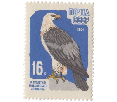  7 почтовых марок «100 лет Московскому зоопарку с перфорацией» СССР 1964, фото 2 