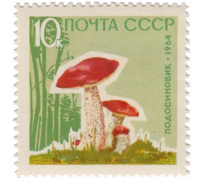  5 почтовых марок «Грибы» СССР 1964 (с лаком), фото 5 