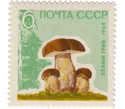  5 почтовых марок «Грибы» СССР 1964 (с лаком), фото 6 