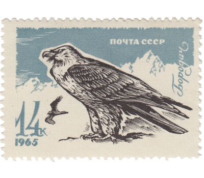  8 почтовых марок «Хищные птицы» СССР 1965, фото 8 