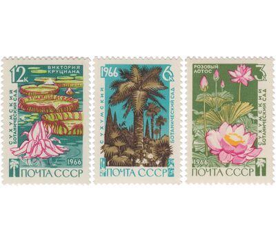  3 почтовые марки «Сухумский ботанический сад Академии наук Грузинской ССР» СССР 1966, фото 1 