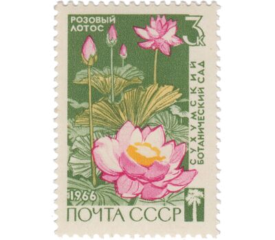  3 почтовые марки «Сухумский ботанический сад Академии наук Грузинской ССР» СССР 1966, фото 4 