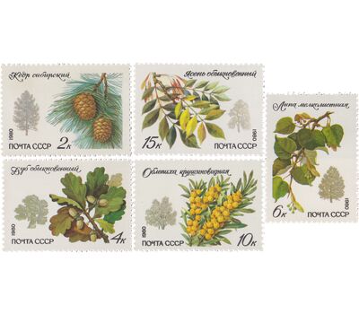  5 почтовых марок «Охраняемые породы деревьев и кустарников» СССР 1980, фото 1 