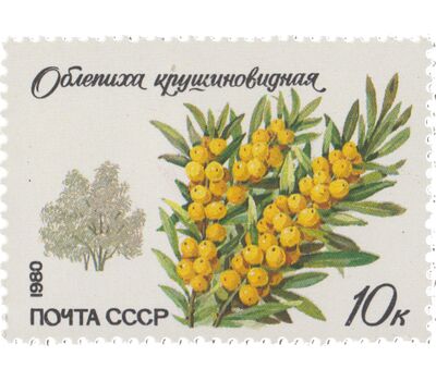  5 почтовых марок «Охраняемые породы деревьев и кустарников» СССР 1980, фото 4 