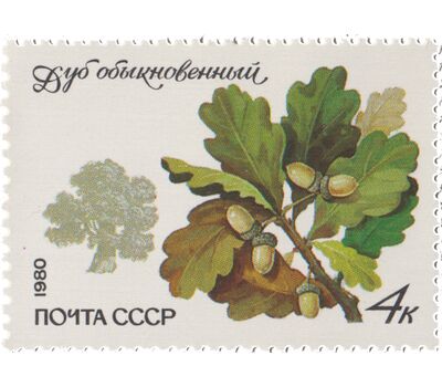  5 почтовых марок «Охраняемые породы деревьев и кустарников» СССР 1980, фото 5 