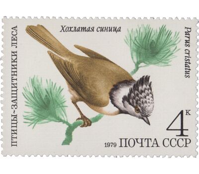  5 почтовых марок «Птицы — защитники леса» СССР 1979, фото 4 