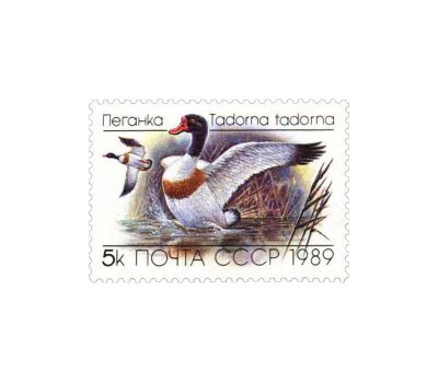  3 почтовые марки «Утки» СССР 1989, фото 2 
