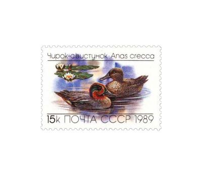  3 почтовые марки «Утки» СССР 1989, фото 3 