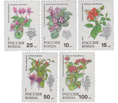  5 почтовых марок «Комнатные растения» 1993, фото 1 