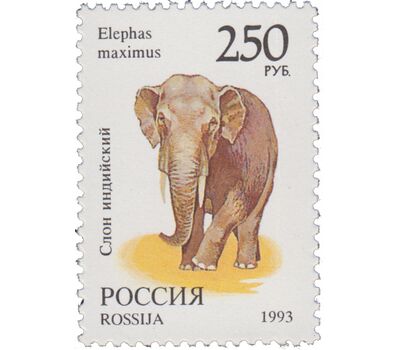  8 почтовых марок «Фауна мира» 1993, фото 5 