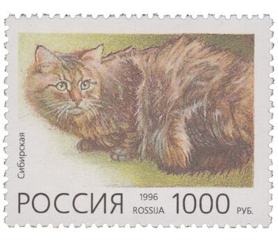  5 почтовых марок «Домашние кошки» 1996, фото 3 