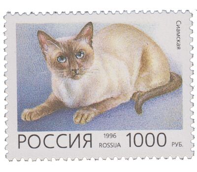  5 почтовых марок «Домашние кошки» 1996, фото 4 