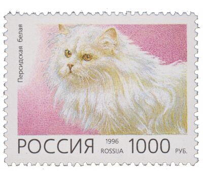  5 почтовых марок «Домашние кошки» 1996, фото 5 