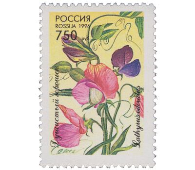  5 почтовых марок «Декоративные растения скверов, садов и парков» 1996, фото 2 