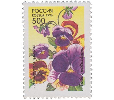  5 почтовых марок «Декоративные растения скверов, садов и парков» 1996, фото 4 