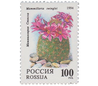  5 почтовых марок «Комнатные растения. Кактусы» 1994, фото 4 