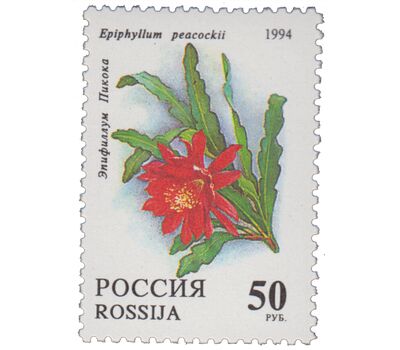  5 почтовых марок «Комнатные растения. Кактусы» 1994, фото 6 