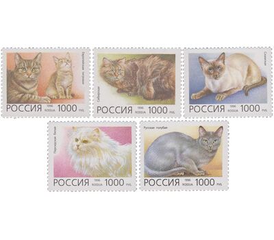  5 почтовых марок «Домашние кошки» 1996, фото 1 