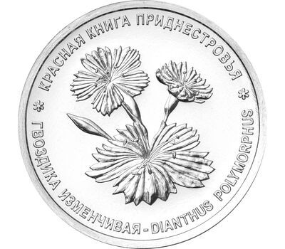 Монета 1 рубль 2025 «Гвоздика изменчивая. Красная книга. Флора» Приднестровье, фото 1 