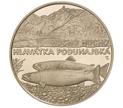  Монета 5 евро 2025 «Дунайский лосось» Словакия, фото 2 