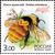  5 почтовых марок «Фауна. Насекомые» 2005, фото 2 