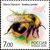  5 почтовых марок «Фауна. Насекомые» 2005, фото 6 