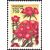  5 почтовых марок «Декоративные растения скверов, садов и парков» 1996, фото 3 