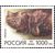  5 почтовых марок «Домашние кошки» 1996, фото 6 