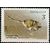  5 почтовых марок «Животные, занесенные в Красную книгу» СССР 1985, фото 5 