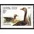  3 почтовые марки «Домашние птицы» СССР 1990, фото 2 