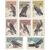  8 почтовых марок «Хищные птицы» СССР 1965, фото 1 