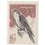  8 почтовых марок «Хищные птицы» СССР 1965, фото 9 